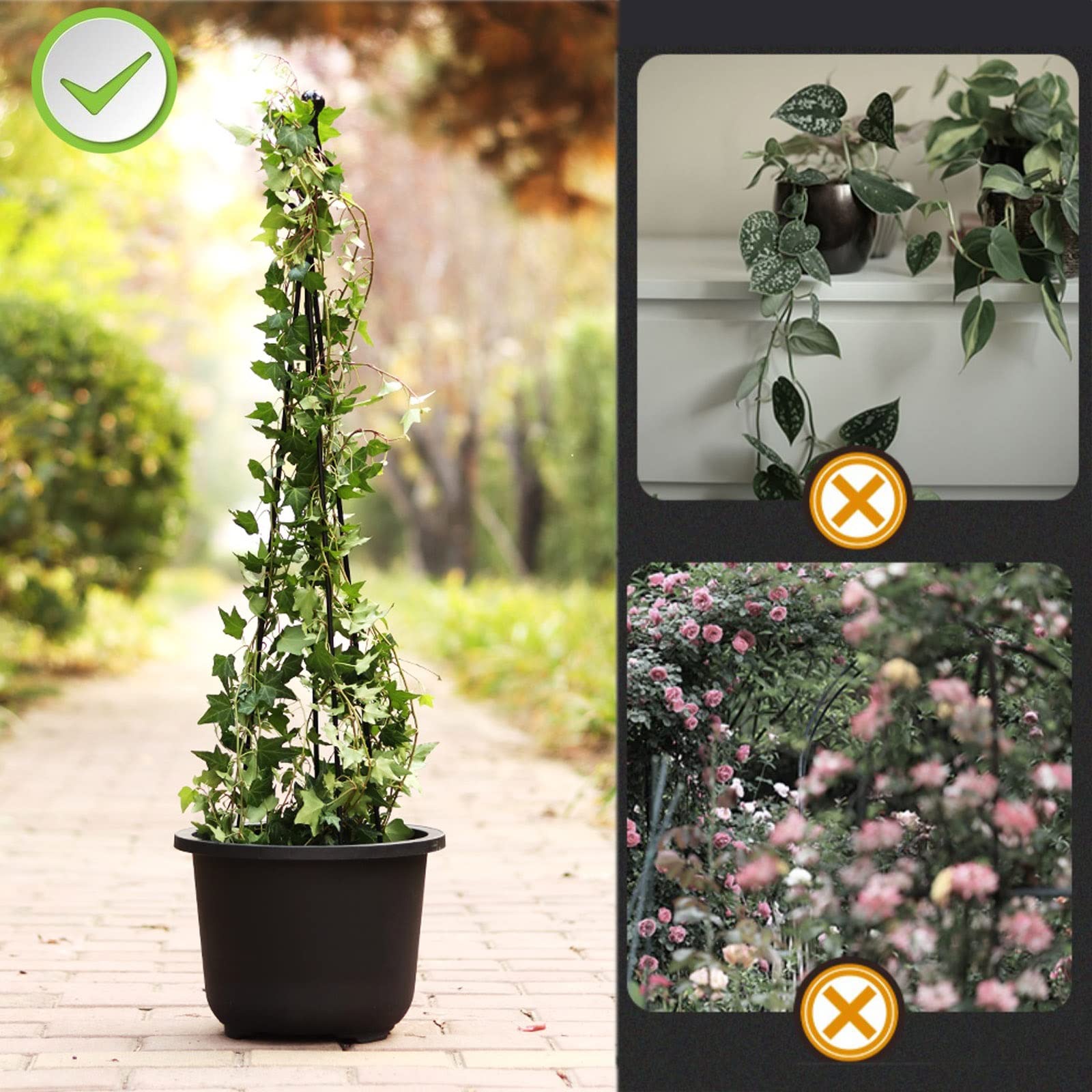 Amazon.co.jp: 植物サポートフレーム 植物支柱 鉄製 鉢植え フラワー Amazon.co.jp: 植物サポートフレーム 植物支柱 鉄製 鉢植え フラワー